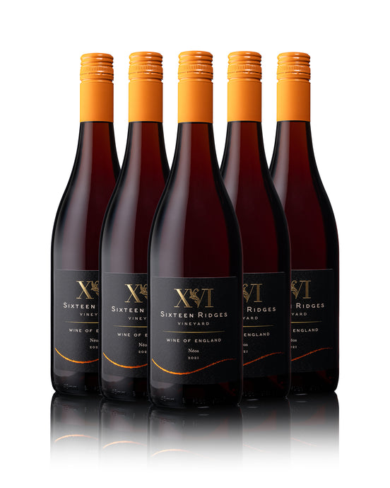 Néos -  Beaujolais style Pinot Noir  2021 per bottle